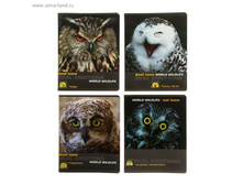 ������� 96 ������ ������ ������ ����, ������� ���������, ���������� ���, ���� ���.1175851 ���� 32,24 ���., �� 5 �� ������! ������..jpg