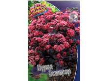 114,9���. ������ ����� �������(�������� ���� �� 2 ��., ����������� ����� 1��.).jpg