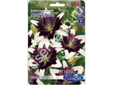 ������ �����.jpg