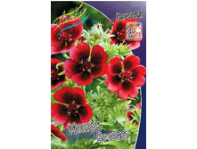 77,2���. �������� ������ �������(�������� ���� �� 1 ��., ����������� ����� 1��.).jpg