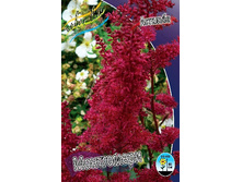 79,2���. �������� ����������(�������� ���� �� 1 ��., ����������� ����� 1��.).jpg