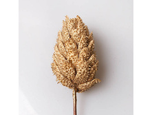 ����� �����, ������ 90�.jpg