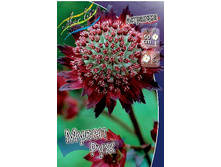 263���. ��������� ����� ���(�������� ���� �� 1 ��., ����������� ����� 1��.).jpg