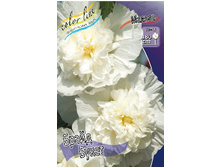 118,6���. ������ ����� �����(�������� ���� �� 1 ��., ����������� ����� 1��.).jpg