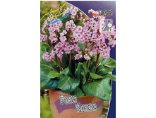 163,4���. ����� ���� �����(�������� ���� �� 1 ��., ����������� ����� 1��.).jpg