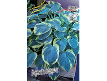 196,6���. ����� ����������(�������� ���� �� 1 ��., ����������� ����� 1��.).jpg