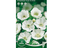 ������� �� �����.jpg