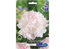 ������ ��.jpg