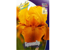 95,3���. ���� ���������� ��������(�������� ���� �� 2 ��., ����������� ����� 1��.).jpg