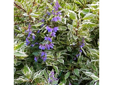 124���. ���� ����� �������������.jpg