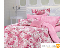 Yni82959 1067�.jpg