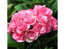 265���. ��������� �������������� �������.jpg