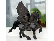 IMG 0554.JPG
