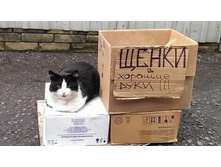 ����� � ������� ����