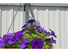 ������� Opera Supreme Blue