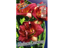 246,4���. �������� ������� �������(�������� ���� �� 1 ��., ����������� ����� 1��.).jpg