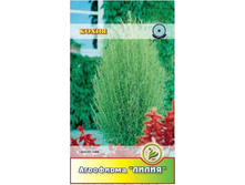 ����� ���������� 	0,5	6,00 ���.