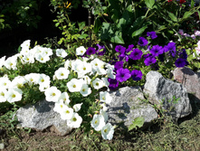20150808 153107.jpg