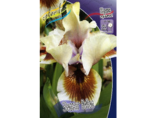 95,3���. ���� ���������� ���� ��(�������� ���� �� 2 ��., ����������� ����� 1��.).jpg