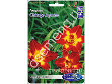 ������ �����.jpg