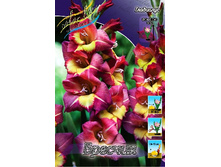 8,91���. ��������� �������(���������� ������ ������ ���������� �� 8 ��.).jpg