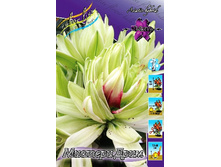 102,37���. ����� ������� ����(�������� ���� �� 3 ��., ����������� ����� 1��.).jpg