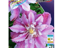 245���. �������� �����������.jpg