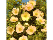 �������� �������-122.jpg