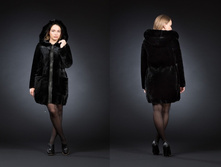 ��������. 40-54