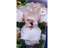 95,3���. ���� ���������� �������(�������� ���� �� 2 ��., ����������� ����� 1��.).jpg