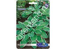 �����	������	Francee