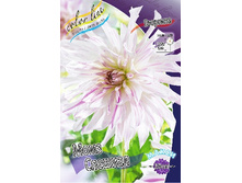 89,4���. �������� ���� �������(�������� ���� �� 1 ��., ����������� ����� 1��.).jpg