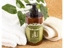 120 ��� ����-���� ��������� �������� � ���������� �������� ��� � �������� 450 ��.jpg