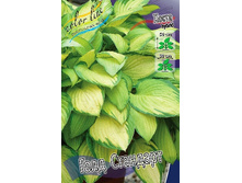 53,5���. ����� ���� ��������(�������� ���� �� 2 ��., ����������� ����� 1��.).jpg