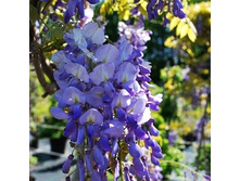 488���. �������� ����������� ��� ���.jpg