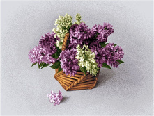 ������ - ����������� �����.jpg