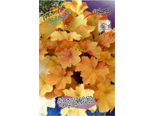 254,7���. ������� ��������(�������� ���� �� 1 ��., ����������� ����� 1��.).jpg