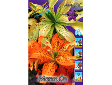 45,18���. ����� ���� ��(�������� ���� �� 5 ��., ����������� ����� 1��.).jpg