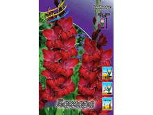 8,18���. ��������� �������(���������� ������ ������ ���������� �� 8 ��.).jpg