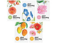 ������� �7 48�. �� ������� �����. Plant blooming 6,00.jpg
