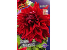 80,2���. �������� ����� �������(�������� ���� �� 1 ��., ����������� ����� 1��.).jpg