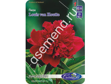 ���� ��� ����.jpg