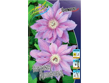 151���. �������� ������ �������(�������� ���� �� 3 ��., ����������� ����� 1��.).jpg