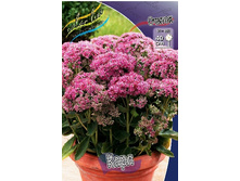 93,8���. ������ ����(�������� ���� �� 1 ��., ����������� ����� 1��.).jpg