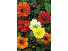 �������� ���� ����� ����� 20�� 12.jpg