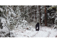 ...�����. ����� ���!))