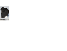 ����������11.png