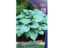 138,6���. ����� ������� ������(�������� ���� �� 1 ��., ����������� ����� 1��.).jpg