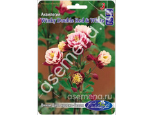 ����� ���� ������-�����.jpg