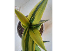 20151005 115401 HDR.jpg